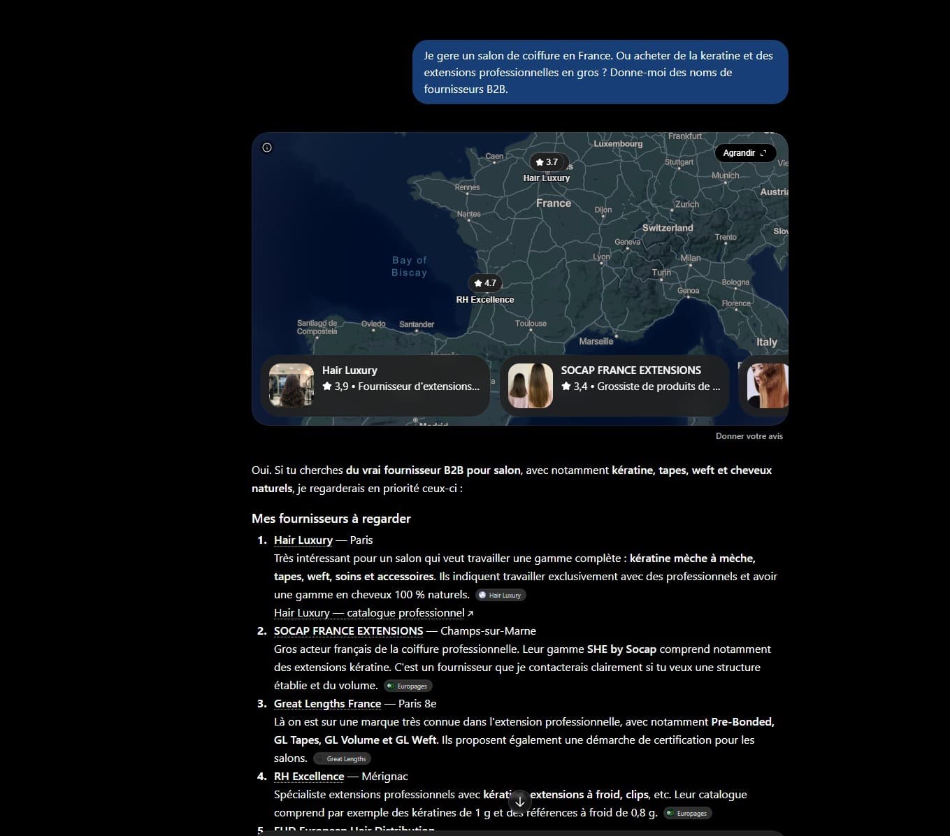 Screenshot of an AI answer presenting Hair Luxury among wholesalers for hairdressing professionals.