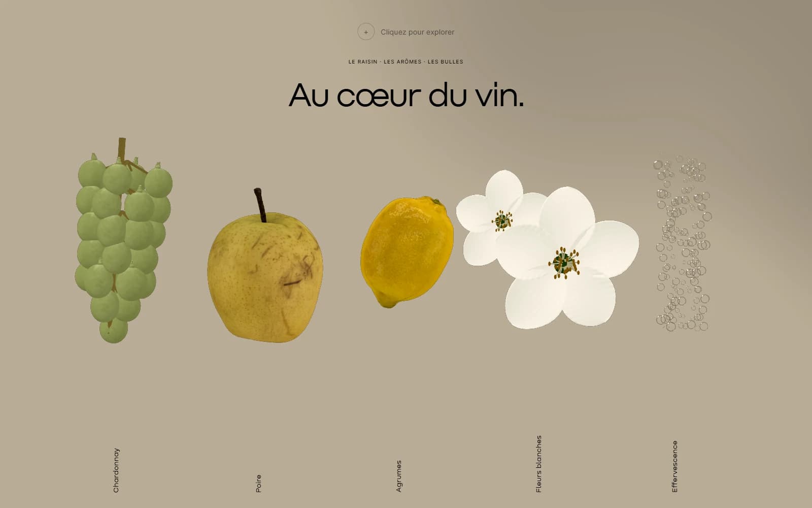 Le raisin, les notes de poire, d’agrumes et de fleurs blanches dans la maquette Ruinart