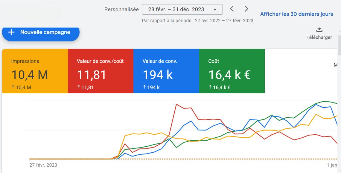 Compte Google Ads avant notre intervention, E-commerce cosmétique